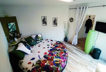 Photo de la chambre de la location Jade d'O - Nidamour.re